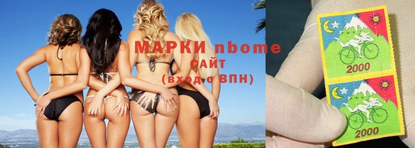 индика Богданович